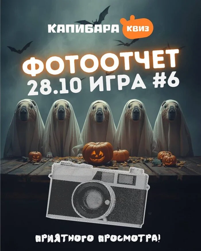 Капибара Квиз #6